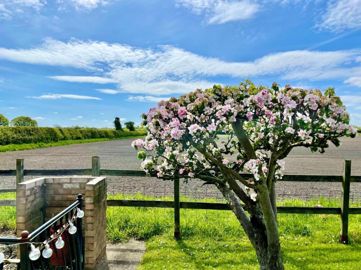 The Cottage York Bagian luar foto